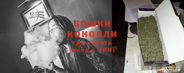 дживик Кинешма