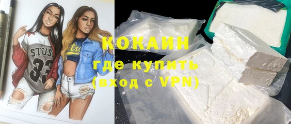 дживик Кинешма