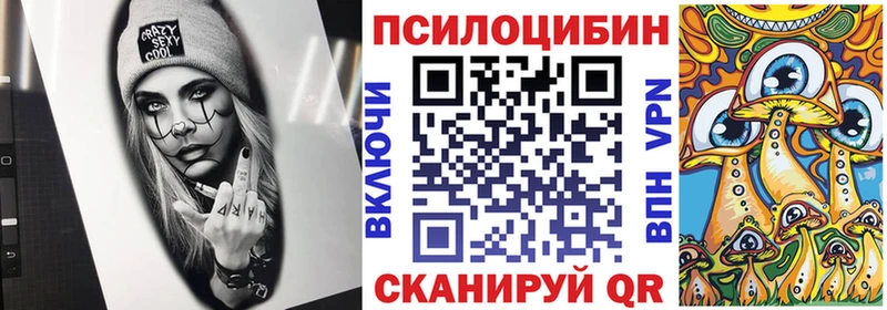 Купить где  Дубовка  Псилоцибиновые грибы MAGIC MUSHROOMS 